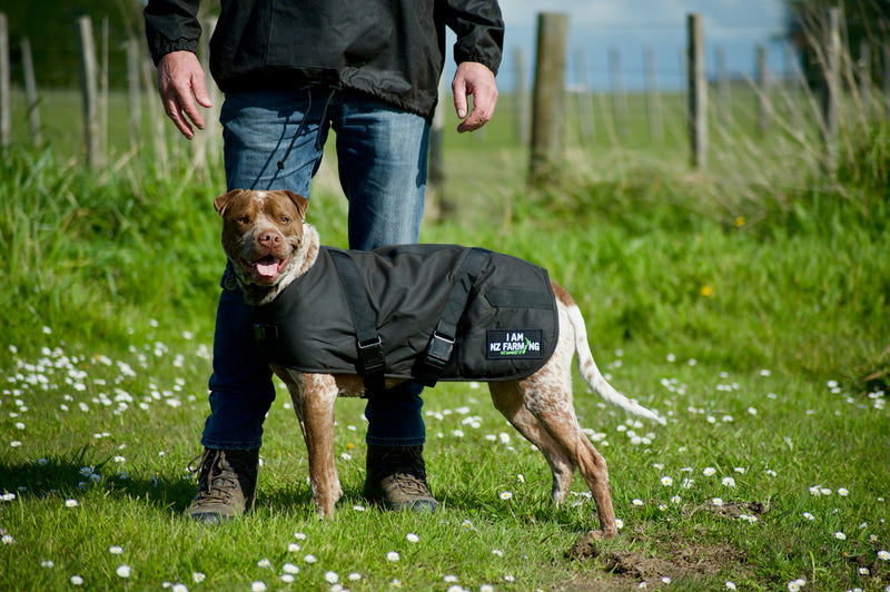 Load image into Gallery viewer, &#39;I am NZ Farming&#39; Dog Jacket - NZ Farming Store
