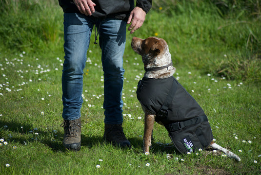 'I am NZ Farming' Dog Jacket - NZ Farming Store